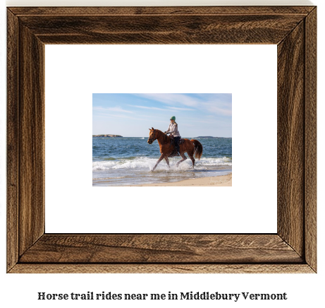 horse trail rides near me in Middlebury, Vermont